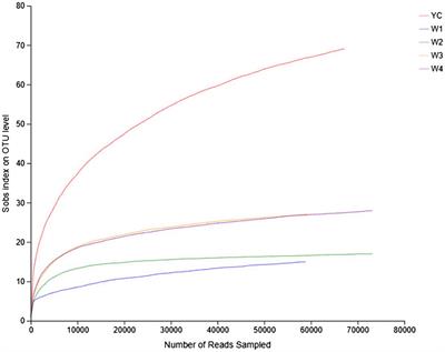 Analysis of the Fungal Diversity and Community Structure in Sichuan Dark Tea During Pile-Fermentation